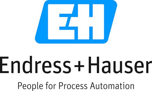 Endress+Hauser Group Services AG logo