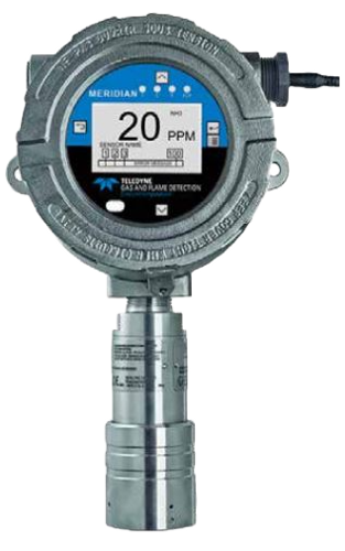 Gas Detectors