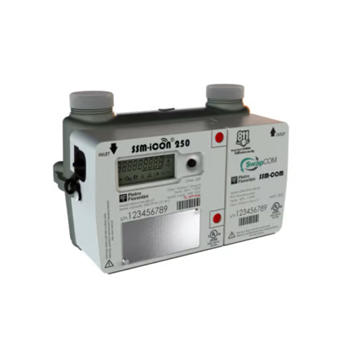 Software, Systems & Smart Metering
