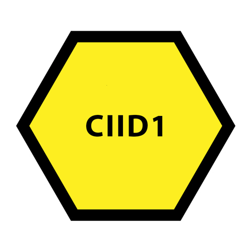Class II Division 1
