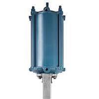 Pneumatic Actuators