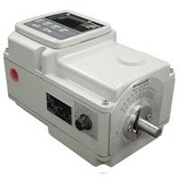 Electric Actuators