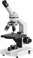Fluorescent Microscopes