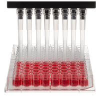 Pipette Tips