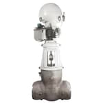 223090_Flexible_Split_Wedge_Gate_Valves_Equiwedge_Main_Steam_Isolation_Valve.jpg