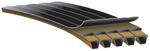 predatorpowerbandv-belt-1-ang-r.png