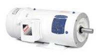 Brake Motors - Washdown Duty - AC Motor