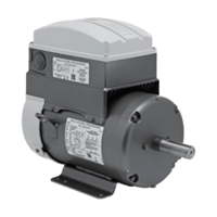 EC Titanium Motors