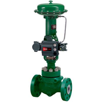 HP & EH Globe & Angle Valve