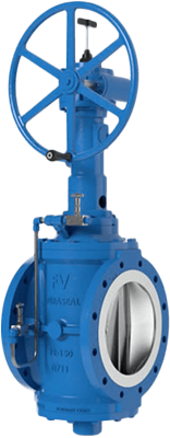 Duraseal Double Block & Bleed Plug Valve