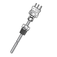 R19 Direct Immersion RTD