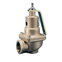 Model 537 Safety Relief Valve