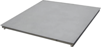 VE Series Stainless Steel Floor Scale