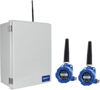 Point-to-Multipoint Wireless Process Signal System
