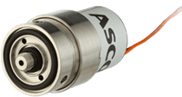 series-065-flat-spring-22mm.png