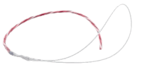 AST Sensors Platinum RTD Sensor, Type ESS