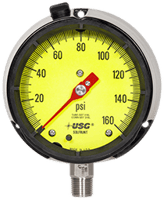 1981-yellow-210x255.png