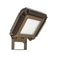Emerson Appleton Luminaire, Areamaster