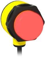 T30 Series General Purpose Indicator