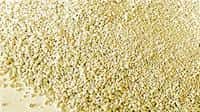 Eaton Bentonite Filter
