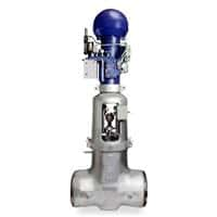 Edward Flexible Split Wedge Gate Valve, Equiwedge Main Feedwater Isolation Valve