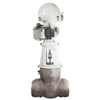 Edward Flexible Split Wedge Gate Valve, Equiwedge Main Steam Isolation Valve