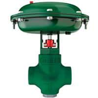 Fisher Control Valve, D2T