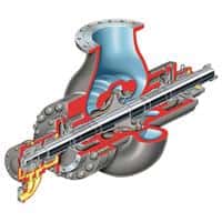 Flowserve Nuclear Pump, DVSR