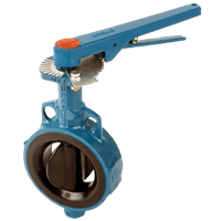 Durco Butterfly Valve, RX