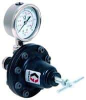 Low Pressure Regulators