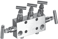 Hex Valve Differential Pressure Manifold Valve, EH37