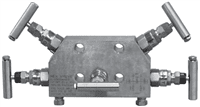 Hex Valve Differential Pressure Manifold Valve, EH38