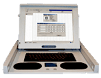 Remote Auditing