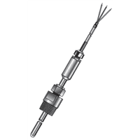 Intempco RTD, R46