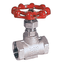 Kobold Stainless Steel Globe Valve, NAD-AB