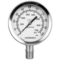 Marsh Bellofram Severe Service Gauge, 100 mm