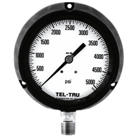 Tel-Tru Solid Front Process Pressure Gauge, Model 10