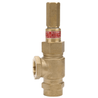 Watson McDaniel Relief & Back Pressure Valve, 10691 Series