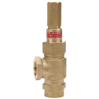 Watson McDaniel Relief & Back Pressure Valve, R Series