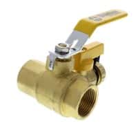 1" IPS Ball Valve With Purge 