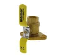 1" IPS Isolation Flange No Purge  