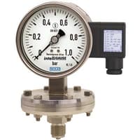 Model PGT43HP.100, PGT43HP.160 Diaphragm Pressure Gauge with Output Signal