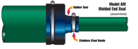 Model-AM.png.webp