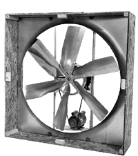 NCF03.png
