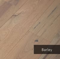 Barley.jpg