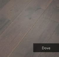 Dove.jpg