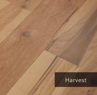 Harvest.jpg