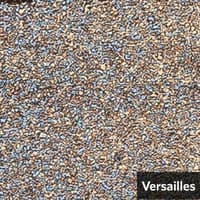 Versailles.jpg