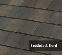 Saddleback.png