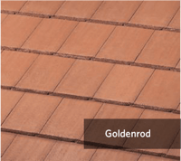 Goldenrod.png